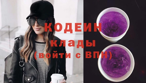 ПСИЛОЦИБИНОВЫЕ ГРИБЫ Абаза