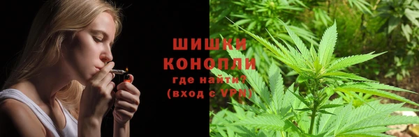 ПСИЛОЦИБИНОВЫЕ ГРИБЫ Абаза
