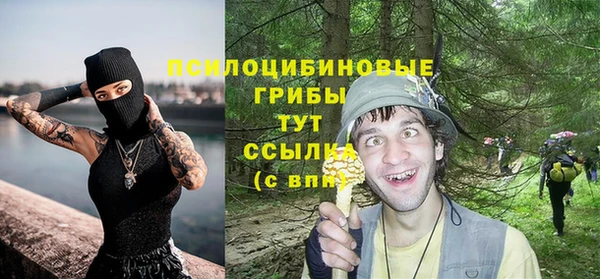 гидра Абдулино