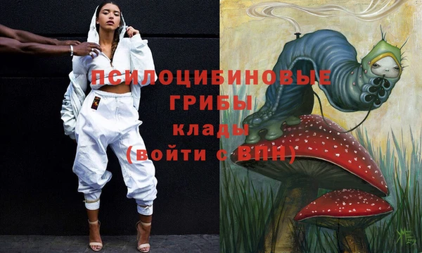 метадон Лагань