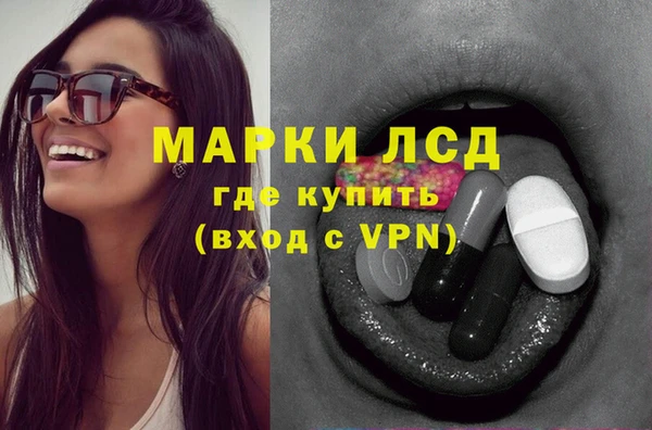 ПСИЛОЦИБИНОВЫЕ ГРИБЫ Абаза